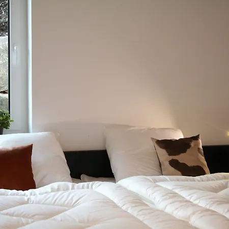 Comfortable Apartment, In A 500 M From The Lift דירה
