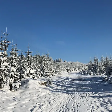Comfortable Apartment, In A 500 M From The Lift Apartmán Winterberg
